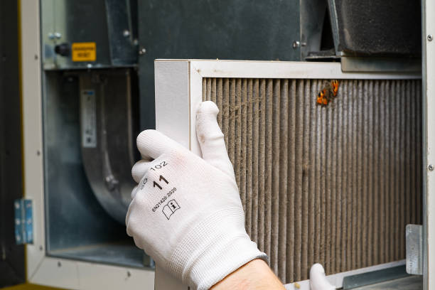 Best Emergency Air Duct Cleaning  in Genoa, IL